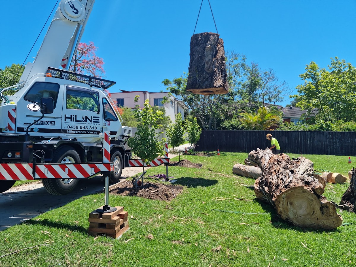 A crane lifting a large sectioned tree trunk onto a waiting truck during a removal job.