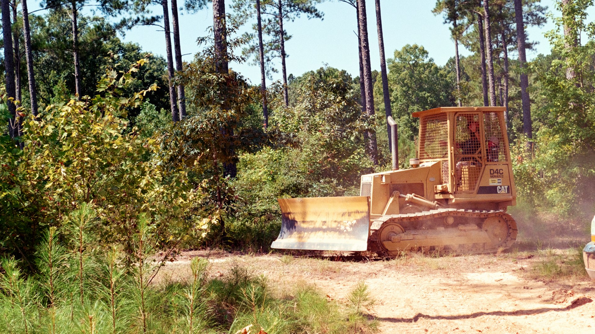 A tracked dozer pushing brush and undergrowth on a sandy Southwest Florida lot lined with slash pines.