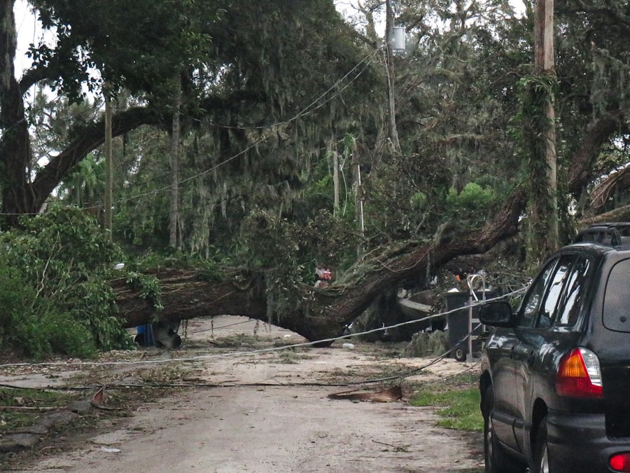A vehicle parked in front of a large tree that has fallen across a residential driveway after a storm.